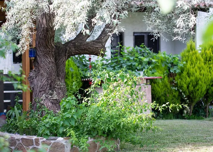 Menie - Golden Fig Sykia Holiday home *