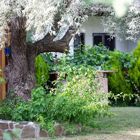 Menie - Golden Fig Sykia Holiday home *